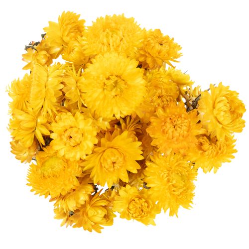 Artikel Tørrede gule stråblomster (Helichrysum) buket, 100 g