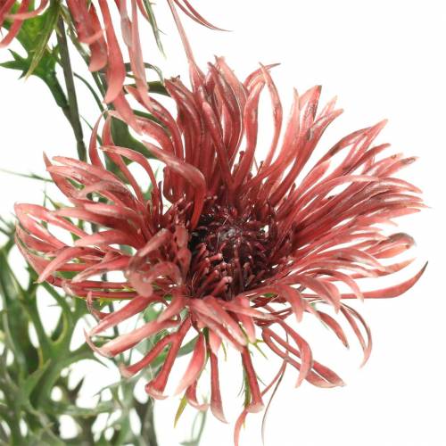 Artikel Xanthium gren Bordeaux 69cm 3stk