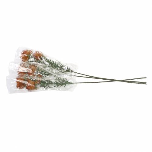 Floristik24 Xanthium gren orange 69cm 3stk