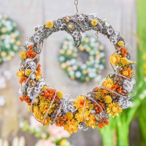 Floristik24 Halmblomster Tørrede blomster Orange Small 15g