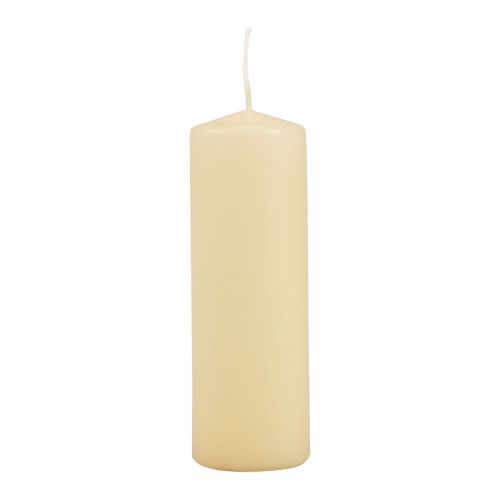 Søjlelys creme Adventslys creme 150/50mm 24 stk