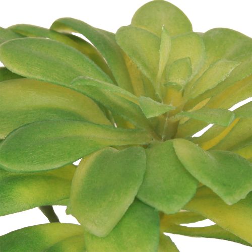 Artikel Sukkulent kunstig plante med pick Aeonium Green 30cm 4 stk