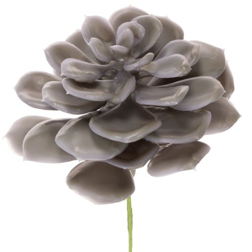 Kunstige sukkulenter voksblomster dekoration 10 cm 6 stk. købe | Floristik24.dk