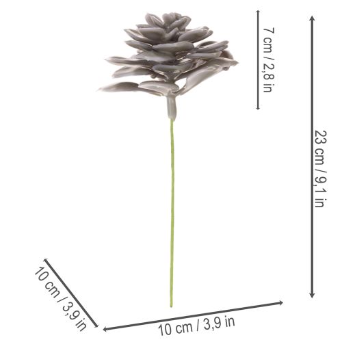 Kunstige sukkulenter voksblomster dekoration 10 cm 6 stk. | Floristik24.dk