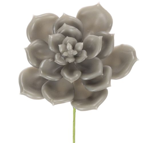Kunstig sukkulent voks kunstig plante med tråd 8 cm 8 stk. købe | Floristik24.dk