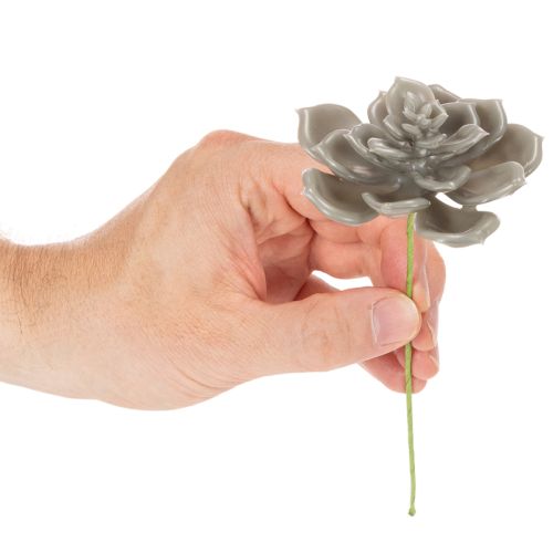 Kunstig sukkulent voks kunstig plante med tråd 8 cm 8 stk. | Floristik24.dk