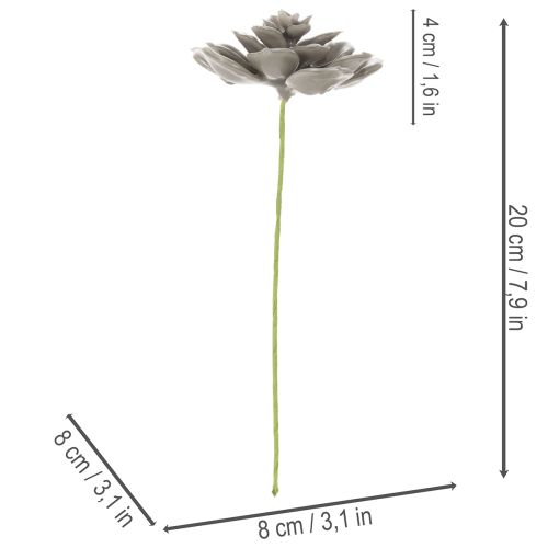 Kunstig sukkulent voks kunstig plante med tråd 8 cm 8 stk. | Floristik24.dk
