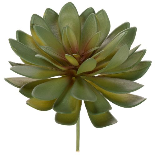 Kunstig sukkulent som dekorativ plante, grøn, 18 cm, 3 stk.