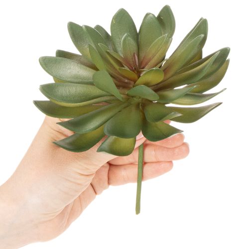 Kunstig sukkulent som dekorativ plante, grøn, 18 cm, 3 stk. | Floristik24.dk