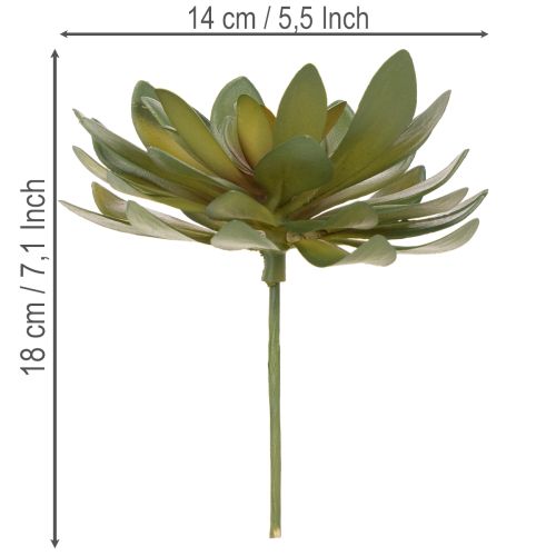 Kunstig sukkulent som dekorativ plante, grøn, 18 cm, 3 stk. | Floristik24.dk