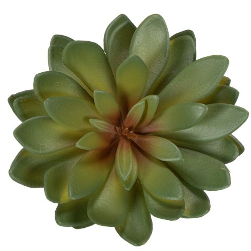 Kunstig sukkulent som dekorativ plante, grøn, 18 cm, 3 stk. | Floristik24.dk