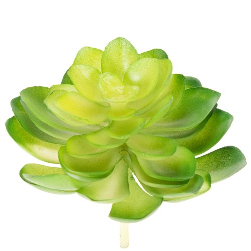 Artikel Kunstig sukkulent, grøn, til dekoration i skål eller vase, 10 cm, 4 stk.
