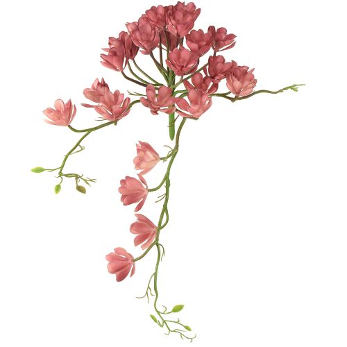 Kunstig sukkulent 28 rosetter Aeonium gammelrosa 43 cm