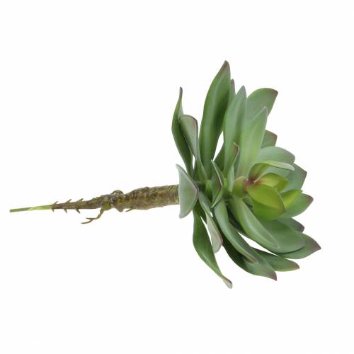 Artikel Kunstig sukkulent grøn 27cm