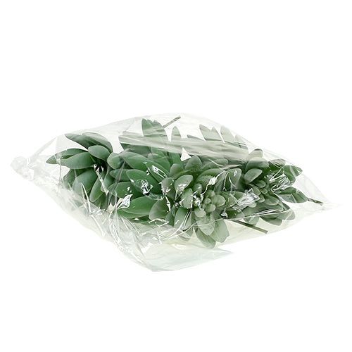 Artikel Sukkulent Echeveria Ø6,5cm L11cm 6 stk