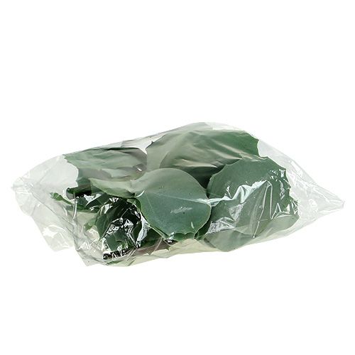 Floristik24 Sukkulent stonecrop L18cm 4stk