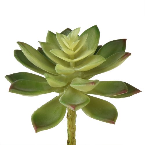 Artikel Kunstige Sukkulenter Kunstige Planter Grøn Ø10cm 4 stk