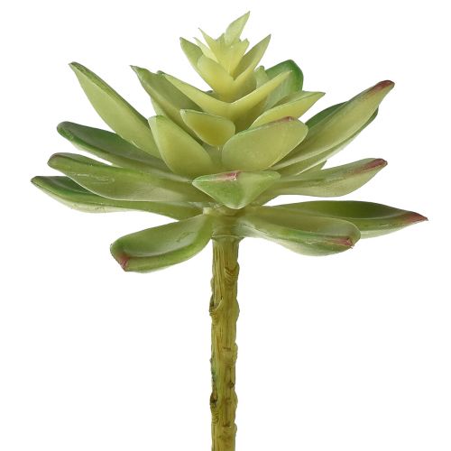 Artikel Kunstige Sukkulenter Kunstige Planter Grøn Ø10cm 4 stk