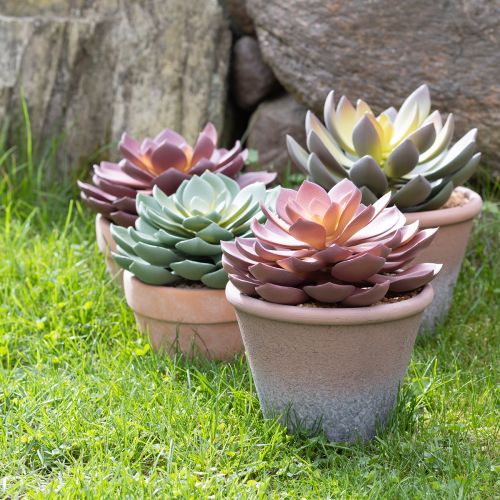 Artikel Sukkulent plante i potte Echeveria kunstig rød årgang Ø15cm H16cm