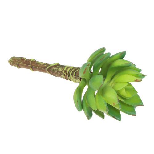 Artikel Sukkulent Echeveria Kunstig Grøn Plante Grøn Ø5,5cm 12,5cm