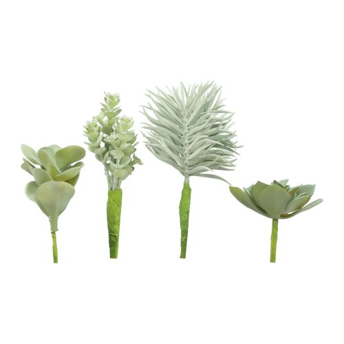 Floristik24 Sukkulenter Kunstig Grøn Plante Grøn Assorteret 9-18,5cm 4stk
