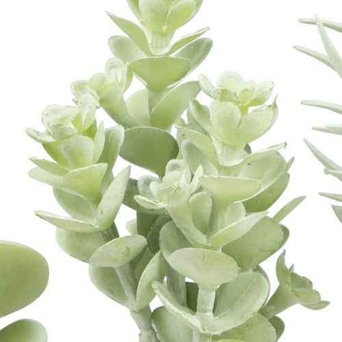 Floristik24 Sukkulenter Kunstig Grøn Plante Grøn Assorteret 9-18,5cm 4stk