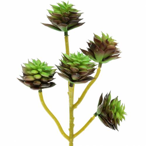 Sukkulent pluk grøn / brun 35,5 cm