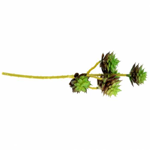 Artikel Sukkulent pluk grøn / brun 35,5 cm
