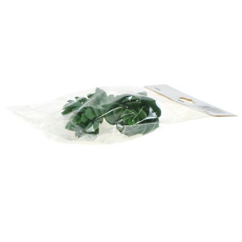 Floristik24 Sukkulenter sorteret 11cm 3stk