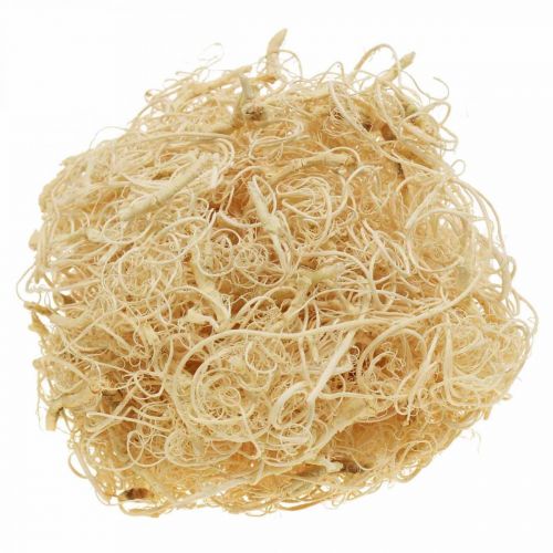 Artikel Tamarind Fiber 500g bleget