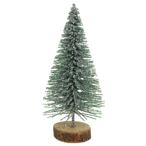 Floristik24 Gransølv 8cm 24 stk