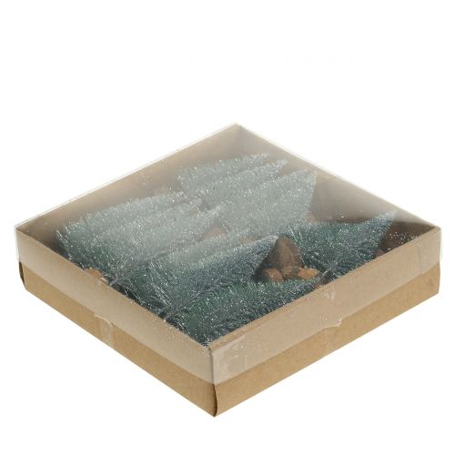 Floristik24 Gransølv 8cm 24 stk