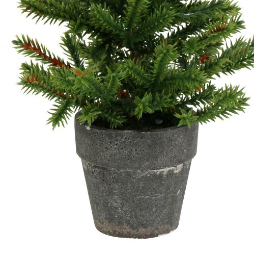 Floristik24 Gran i en gryde grøn 23cm
