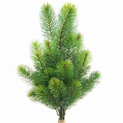Floristik24 Grangrene grønne 43/54cm 6stk