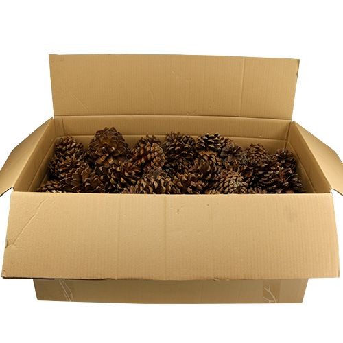 Floristik24 Kogleblanding stor 14kg