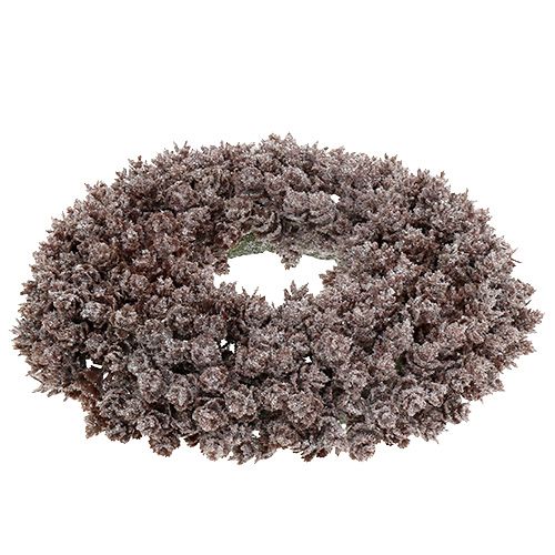 Floristik24 Fyrrekogle krans Ø25cm med glitter