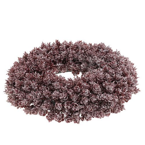 Floristik24 Fyrkronekrans med frostet Ø25cm bordeaux