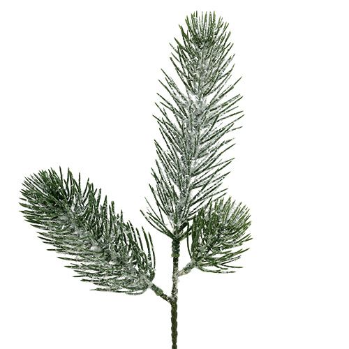 Floristik24 Grangren grøn iced 30cm 3stk