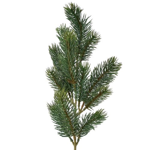 Floristik24 Grangren grøn 50cm 6 stk