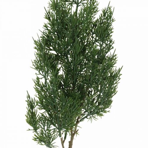 Floristik24 Dekorativ gren Thuja Kunstig cypresgren julegrøn 81cm