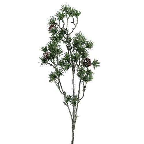 Floristik24 Gran gren hvidkalket grøn 46cm