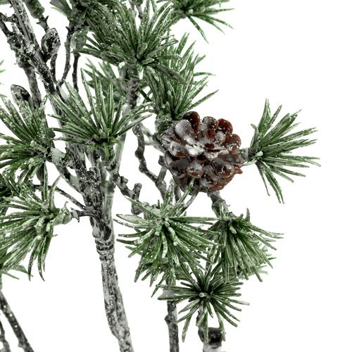 Floristik24 Gran gren hvidkalket grøn 46cm