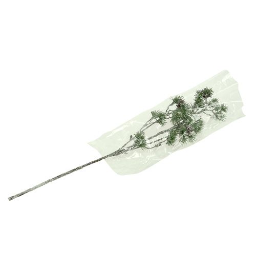 Floristik24 Gran gren hvidkalket grøn 46cm