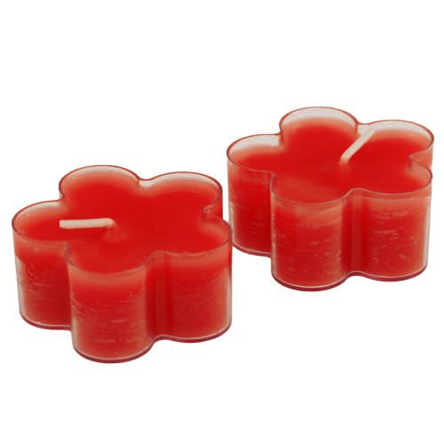 Floristik24 Blossom Light Ruby 12 stk