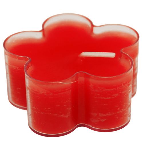 Floristik24 Blossom Light Ruby 12 stk