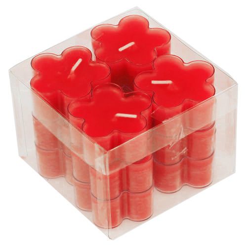 Floristik24 Blossom Light Ruby 12 stk