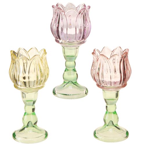 Floristik24 Fyrfadsglas blomst fyrfadsstage glas 3 farver Ø7cm H16cm 3stk