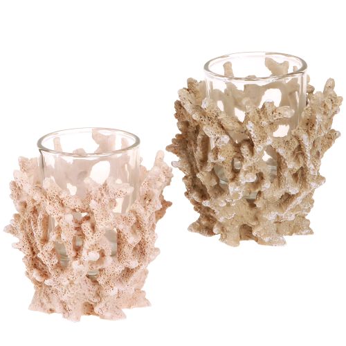 Artikel Fyrfadsstage koral dekoration maritim creme brun H9cm 2stk