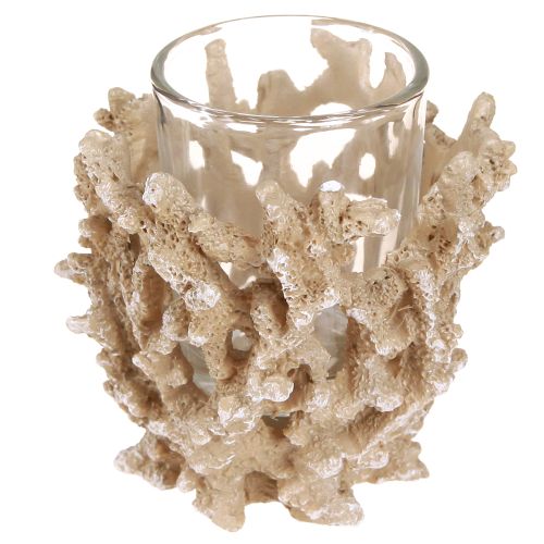 Artikel Fyrfadsstage koral dekoration maritim creme brun H9cm 2stk