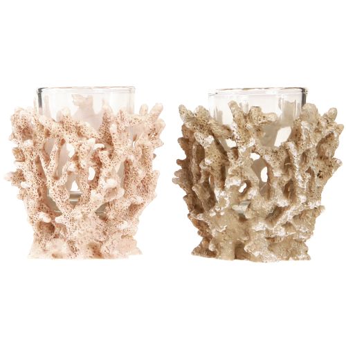 Artikel Fyrfadsstage koral dekoration maritim creme brun H9cm 2stk